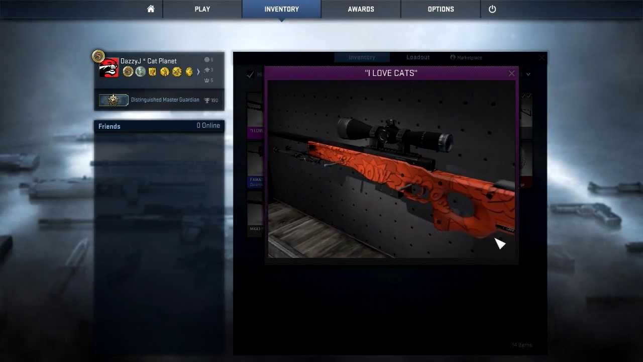 How to use name labels in CS:GO