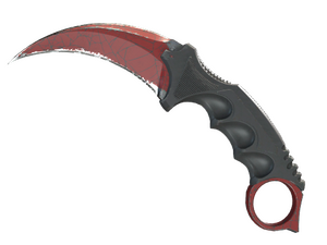 ★ StatTrak™ Karambit | Crimson Web (Field-Tested)
