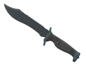 ★ Bowie Knife | Night (Field-Tested)
