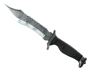 ★ Bowie Knife | Stained (Field-Tested)